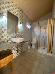 科维良Villa Silene的一间带水槽、淋浴和卫生间的浴室