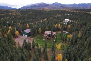 希利Denali National Park 2 King Bedroom Hideaway with Amazing Views的森林中间房屋的空中景观