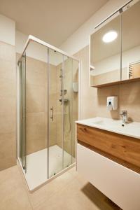 维帕瓦Posestvo Rouna - winery and apartments的一间带玻璃淋浴和水槽的浴室
