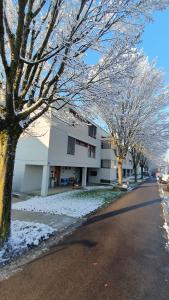 克罗伊茨林根COSI - Komfortables Privatzimmer mit grosser Terrasse und Parkplatz的街道边有雪覆盖的树木的建筑