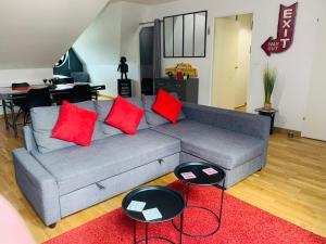 亚眠Amiens LOFT的客厅配有带红色枕头的灰色沙发