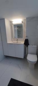 尼科西亚Ellas Modern Duplex City Center的白色的浴室设有卫生间和水槽。