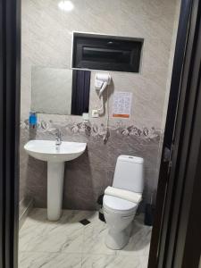 卡兹贝吉Bibo's Kokhi Guesthouse的一间带卫生间和水槽的浴室