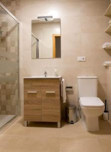 阿尔苏阿LA PUERTA DE ARZÚA的一间带卫生间、水槽和镜子的浴室