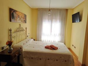 奥维多Los Prados - HUCA Oviedo - Parking gratuito的一间卧室设有一张床和一个窗口
