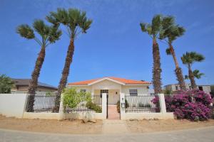 棕榈滩Dushi Villa的围栏前有棕榈树的房子