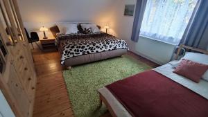 MoldavaHoliday Home Moldava的一间带两张床的卧室和绿色地毯