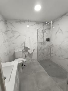 苏安塞斯Hotel Posada del Mar的带淋浴和卫生间的白色浴室