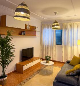 阿里纳加Apartment 100 m from the beach的带沙发和电视的客厅