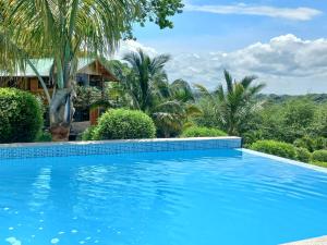 Don JuanL'Oasis Don Juan的棕榈树屋前的游泳池