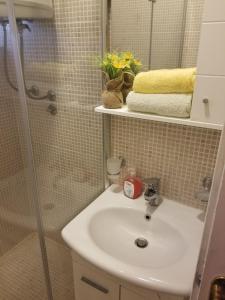 耶尔萨Apartman Bogdan的一间带水槽和淋浴的浴室