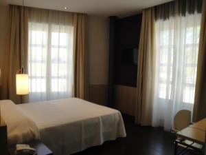 布尔戈斯哥特之路酒店的酒店客房设有一张床和两个窗户。
