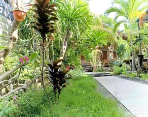 珀尼达岛Green Palace Homestay的种有棕榈树和步道的花园