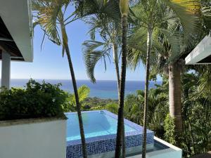 桑迪湾Top Ridge Views - 2 Bedrooms的棕榈树别墅的阳台享有风景。