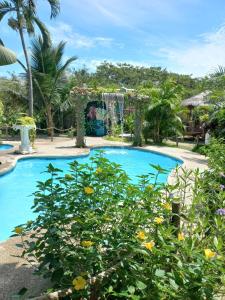 卡诺阿Hotel Bambú的花园度假村的游泳池