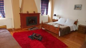 奥吉欧司吉玛洛斯Traditional Guesthouse Vrigiis的一间卧室配有一张带壁炉和红色地毯的床。