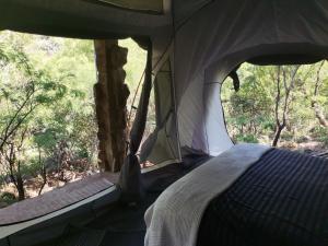 KalkheuvelAdorable unique guest house - African bush feel的树林帐篷内的一张床位