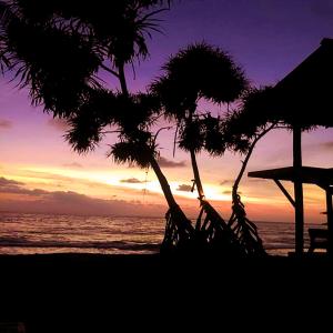希克杜沃New Amadeo Beach的棕榈树海滩上的日落