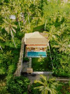 卢纳将军城Domu Mia Villa Siargao的享有带游泳池的度假村的空中景致