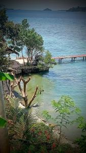 Gili GedeTanjungan的树丛和码头的水域