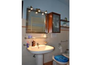 StropinoLa Ca' dal Canton的一间带水槽、卫生间和镜子的浴室
