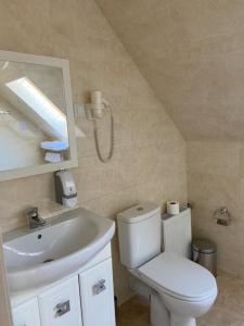 HadyachГотель Едем的浴室配有白色卫生间和盥洗盆。