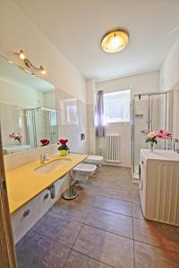 科利科Legnoncino Holiday Home- Lake Como的一间带水槽、卫生间和镜子的浴室
