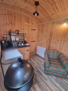 KeltyBlair snug hut的小屋内带炉灶和沙发的房间