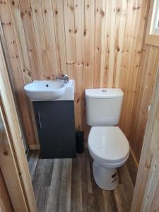 KeltyBlair snug hut的一间带卫生间和水槽的浴室
