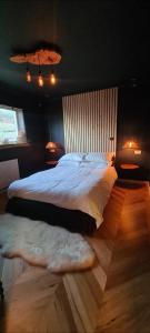 纽基The Cornish Getaway的一间卧室配有一张大床,铺有地毯,灯光亮丽