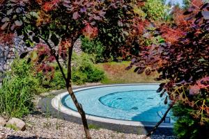 克雷泽朗Precise Resort Marina Wolfsbruch的花园中的游泳池