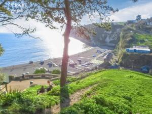 比尔Haslemere - Beer Devon的从小山到小山,从树上欣赏海滩美景