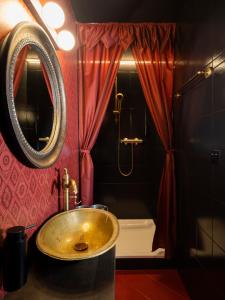 圣于尔萨讷Peanut Medieval Lodge的一间带水槽和淋浴的浴室