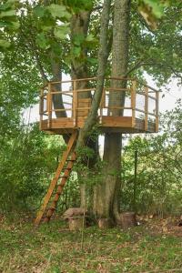 BuckinghamshireHollyhock Lodge的树上的木树屋
