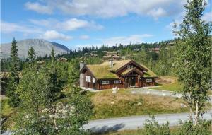 尤坎Amazing Home In Rjukan With Sauna And 5 Bedrooms的山坡上草屋顶的房子