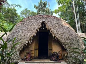 莱蒂西亚Palmayacu - Refugio Amazónico的茅草屋顶的小小屋