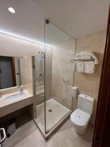 维多利亚-加斯特伊兹杜克德惠灵顿酒店的带淋浴、卫生间和盥洗盆的浴室