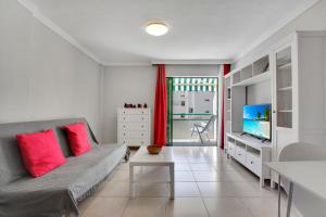 德尔锡伦西奥海岸Halcon - Costa del Silencio的带沙发和电视的客厅