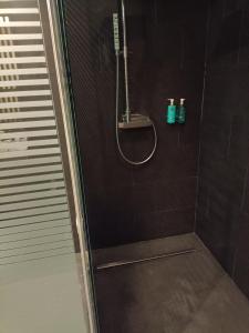 RoaHotel Raíz的浴室内配有淋浴和头顶淋浴