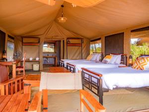 安博塞利Tulia Amboseli Safari Camp的相册照片