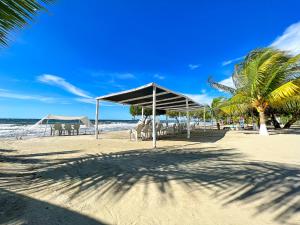 科韦尼亚斯Condominio bahia blanca的海滩上有一个凉亭和棕榈树