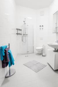 约阿希姆斯塔尔Ferienwohnungen direkt am Werbellinsee的带淋浴和盥洗盆的白色浴室