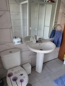 阿瓜杜尔塞Casa Violeta的一间带水槽、卫生间和镜子的浴室