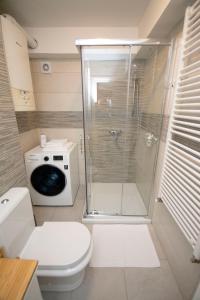 斯拉沃尼亚布罗德Apartman Lipa的带淋浴、卫生间和洗衣机的浴室