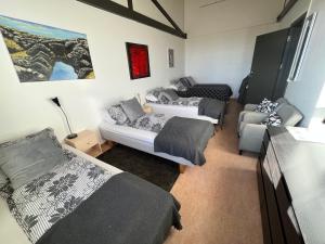 HlíðarendiGodaland Guesthouse的带三张床和一张沙发的房间