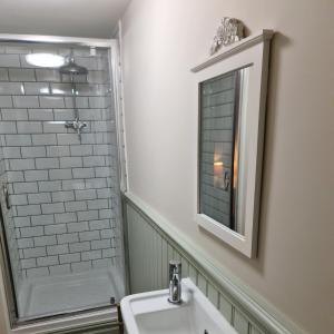 布里斯托纽迪驰农场住宿公寓的浴室配有盥洗盆和带镜子的淋浴