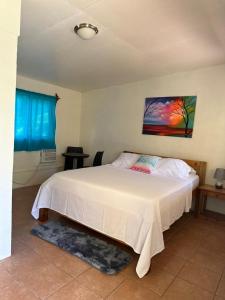 小玉米岛Sunshine Hotel Little Corn Island的卧室配有一张白色床,墙上挂有绘画作品