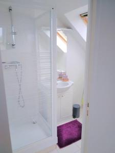 特鲁瓦LE STUPLEX的带淋浴和盥洗盆的白色浴室