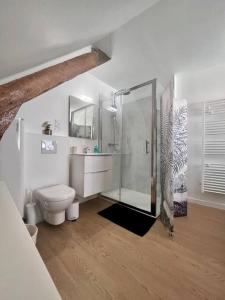 布里夫拉盖亚尔德Casa Bondy - Sublime T2 Refait à Neuf - Hyper Centre de Brive的带淋浴和卫生间的白色浴室