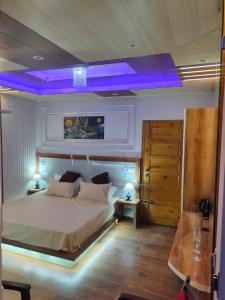 西姆拉Shimla Abode的一间卧室设有一张大床,拥有紫色的天花板
